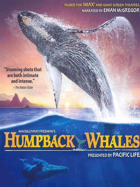 IMAX:HUMPBACK WHALES
