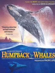 IMAX:HUMPBACK WHALES